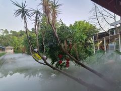 -一品烧农庄·佛山本地特色菜