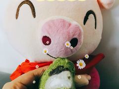 -奈雪的茶(观前街店)
