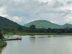 -风云岭森林公园