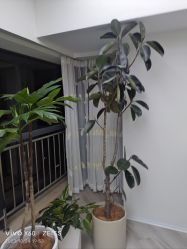 -HEYAN荷妍专业脱毛连锁机构