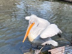 -济南野生动物世界