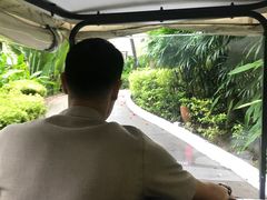 -芭堤雅度假村洲际酒店 - IHG 旗下酒店