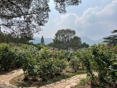 -国家植物园南园