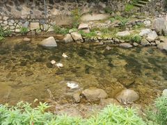 -藏龙百瀑漂流