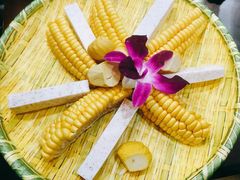 五谷丰登-墨脱石锅椰子鸡•香草鸭•东山羊(大东海店)