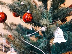 大堂-杯欢制茶(三里屯店)