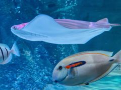 -沈阳海洋探索中心