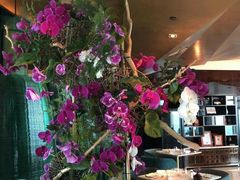 -翡翠36餐厅(浦东香格里拉店)