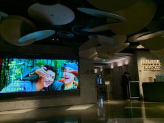 -百美汇影城(LUXE嘉里中心店)