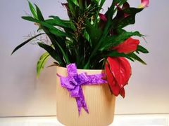 -循礼门鲜花花市(武汉循礼门店)