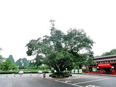 -广西交投桂林高速公路运营有限公司临桂分公司