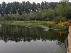 -东郊湿地公园