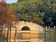 -广州市帽峰山景区