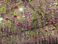 -鸭匠食府·挂炉烤鸭·新京菜(阜成路店)