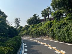 -苏州湾体育公园