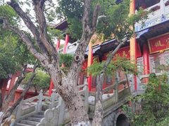 -黔灵山公园