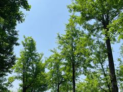 -苏州太湖国家湿地公园
