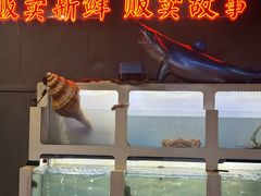 -质烤烤物·活烤海鲜(质烤总店)