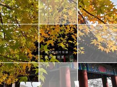 -天津盘山风景名胜区