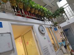 -pd派德宠物中心医院24H急重症·眼科中心·血液透析中心(嵩山北路店)