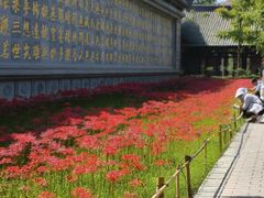 -西安大兴善寺