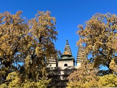 -北京石刻艺术博物馆(五塔寺)