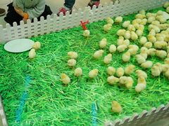 -盒马鲜生(首义店)