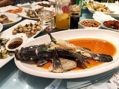 -舌尖上·霞浦滩涂海鲜·新闽菜(总店)