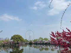 -无锡蠡湖国家湿地公园-蠡园