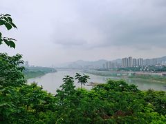 -金海湾滨江公园