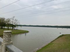 -上海海湾国家森林公园