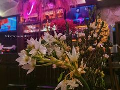 -Molee·泰府(东郊店)