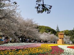 -苏州上方山国家森林公园