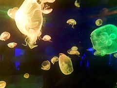 -福州罗源湾海洋世界旅游区