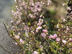 -白塘生态植物园