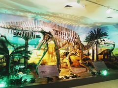 -甘肃地质博物馆