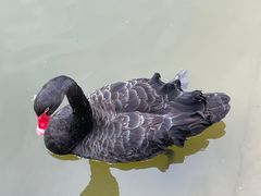 -静之湖度假区
