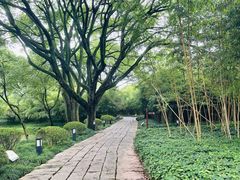 -上海方塔园