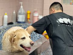-FAELING PETS美天灵宠物(富力广场店)