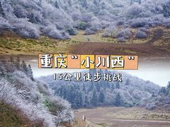 -武陵山森林公园