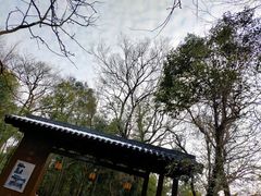 -西湖风景区十里琅珰-五云山