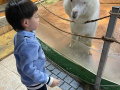 -上海大自然野生昆虫馆(东方明珠·爬宠昆虫探索中心)