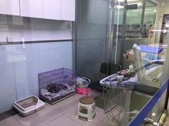 -宠颐生中康贝怡动物医院
