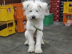 -慕儿姜鸭面江湖菜(七星岗二十年店)