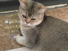 -惠西湾原切牛排生鲜(荣巷店)