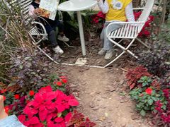 -正佳雨林生态植物园