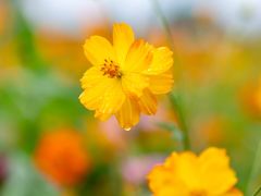 -贵阳市花溪国家城市湿地公园