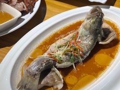 鲈鱼-衡东土菜馆(天际绿洲店)