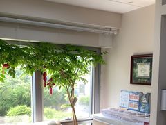 -精德口腔·种植修复·儿牙中心(财富中心店)