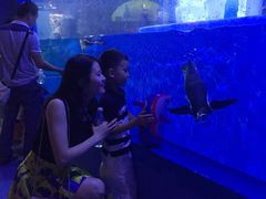 -多彩贵州城极地海洋世界